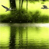 99px.ru аватар птицы летают над рекой