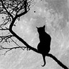 Аватар Кот встречает весну