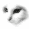 Аватар У кошки сверкают глаза
