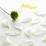 99px.ru аватар Любит?
