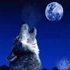 99px.ru аватар Волк воет на луну