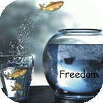 Аватар freedom