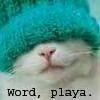 Аватар кот в шапке (Word,playa)