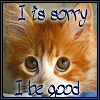 Аватар рыжий кот с зелёными глазами (I is sorry. I be good)