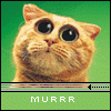 Аватар murrr