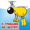 Аватар С грибами не шутят!