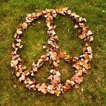 Аватар листьями выложен знак peace