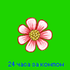 Аватар 24 часа за компом
