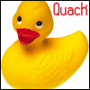 Аватар Quack