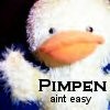 Аватар Pimpen aint easy