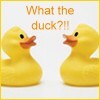 99px.ru аватар duck
