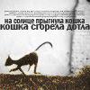 Аватар на солнце прыгнула кошка. кошка сгорела до тла
