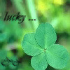 99px.ru аватар lucky