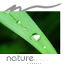 Аватар nature