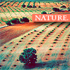 Аватар nature