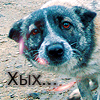 Аватар хых...