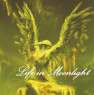 Аватар Life in Moonlight