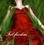 Аватар Feel freedom...