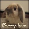 Аватар bunny love