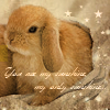 Аватар rabbit
