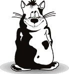 Аватар Смешной кот