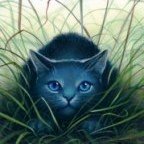 Аватар Кошка на охоте