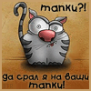 Аватар тапки?! да срал я на ваши тапки!