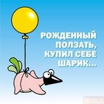 Аватар Рождённый ползать, купил себе шарик..