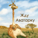 Аватар жду аватарку