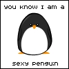 Аватар you know i am a Sexy penguin