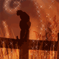 99px.ru аватар Кот сидит на заборе, в небе гуляют сполохи