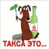 Аватар такса это...