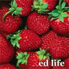 Аватар red life