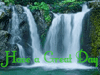 Аватар have a great day