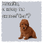 Аватар Хозяин, и кому ты сказал *Фас*?
