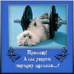 Аватар Привет! А вы утром зарядку сделали?