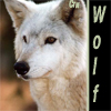 Аватар wofl