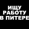 Аватар Ищу работу в Питере
