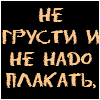 Аватар Не грусти и не надо плакать, просто так сегодня случилось, что мы кошки, а все остальные собаки.