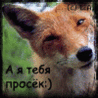 Аватар А я тебя просёк :)