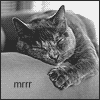 Аватар mrrr