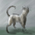 Аватар Кошка и лунный свет