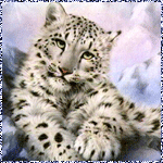 99px.ru аватар Ласковый котик-барсик