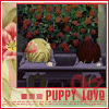 99px.ru аватар Тамаки и Харухи из аниме Клуб свиданий старшей школы Оран (Puppy Love)