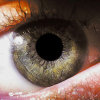 99px.ru аватар Серо-зелёный глаз