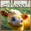 99px.ru аватар Mooo!