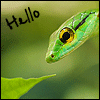 99px.ru аватар Hello Зелёная змея