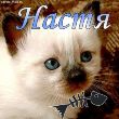 Аватар Настя