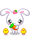 Аватар rabbit
