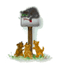 Аватар кошка и щенки